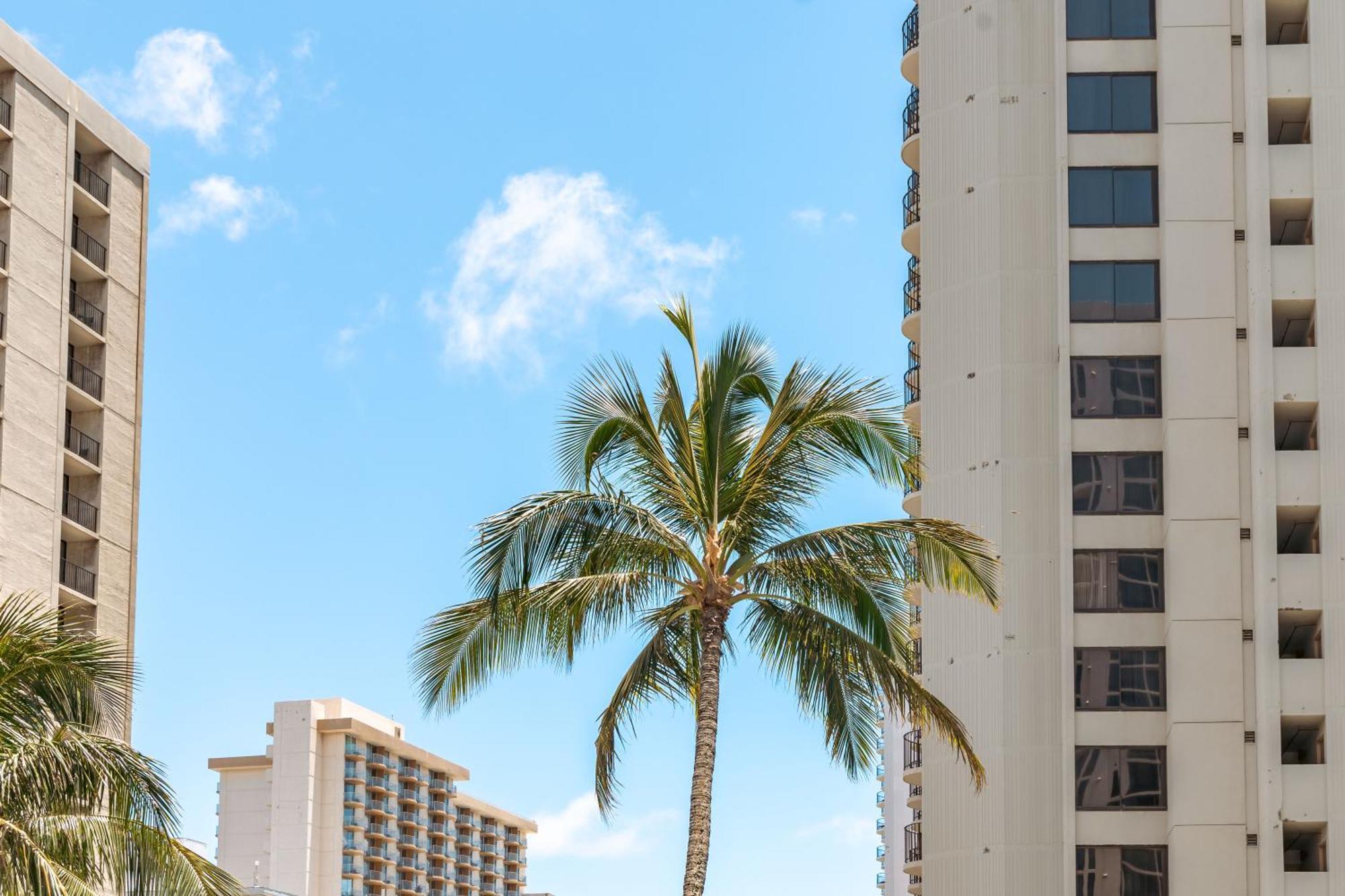 Beautiful Ocean And Diamond Head Views With Parking Apartment Honolulu Ngoại thất bức ảnh